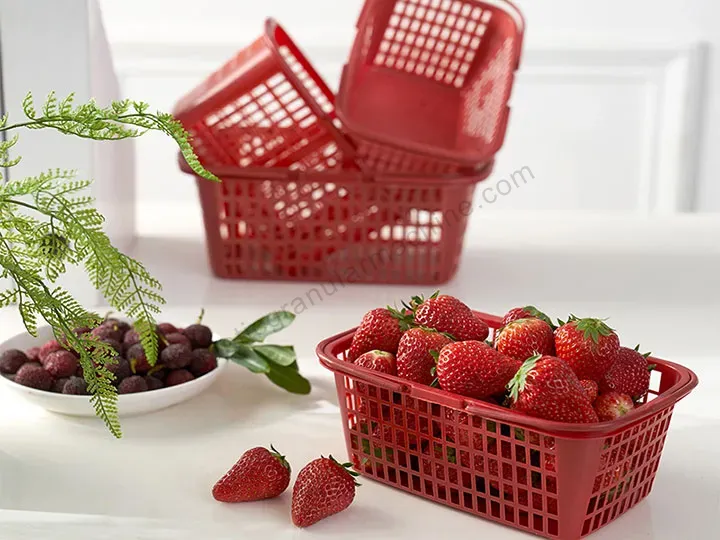 Fruit Basket